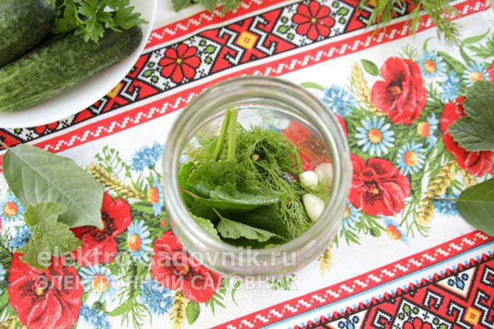 поместить листья хрена